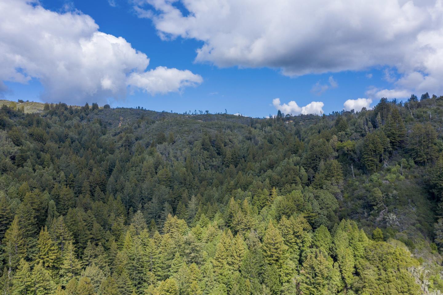 Lot13 Summit, CORRALITOS (WATSONVILLE), California 95076, ,Lots And Land,For Sale,Summit,40962002