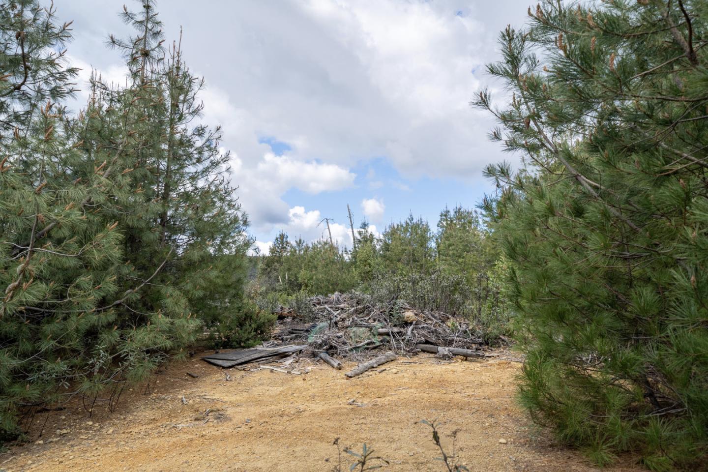 Lot13 Summit, CORRALITOS (WATSONVILLE), California 95076, ,Lots And Land,For Sale,Summit,40962002