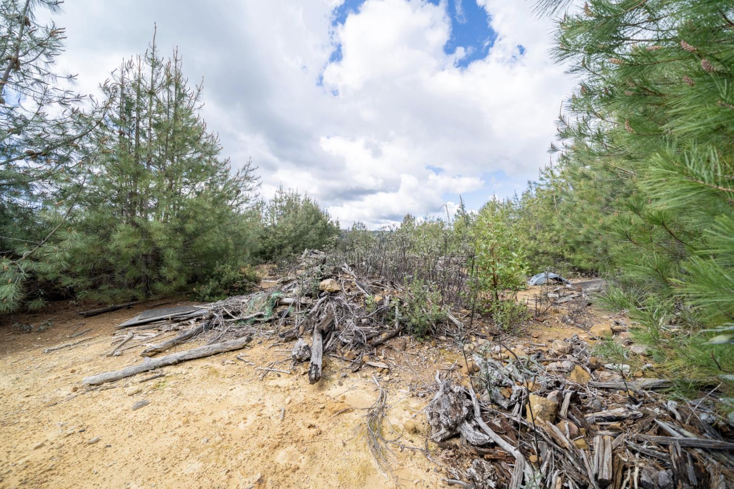 Lot13 Summit, CORRALITOS (WATSONVILLE), California 95076, ,Lots And Land,For Sale,Summit,40962002