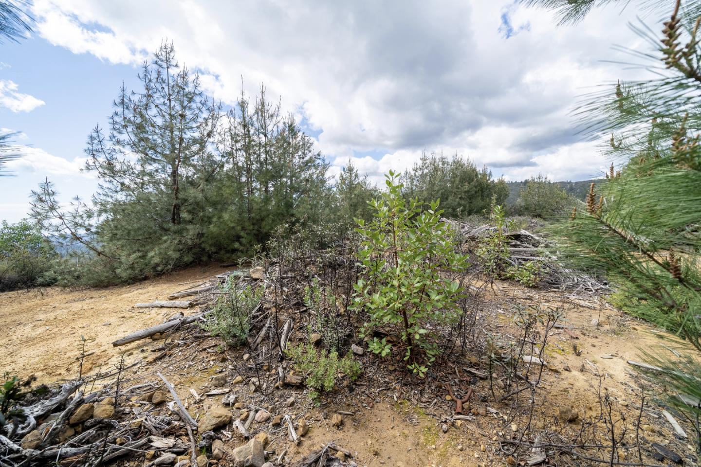 Lot13 Summit, CORRALITOS (WATSONVILLE), California 95076, ,Lots And Land,For Sale,Summit,40962002