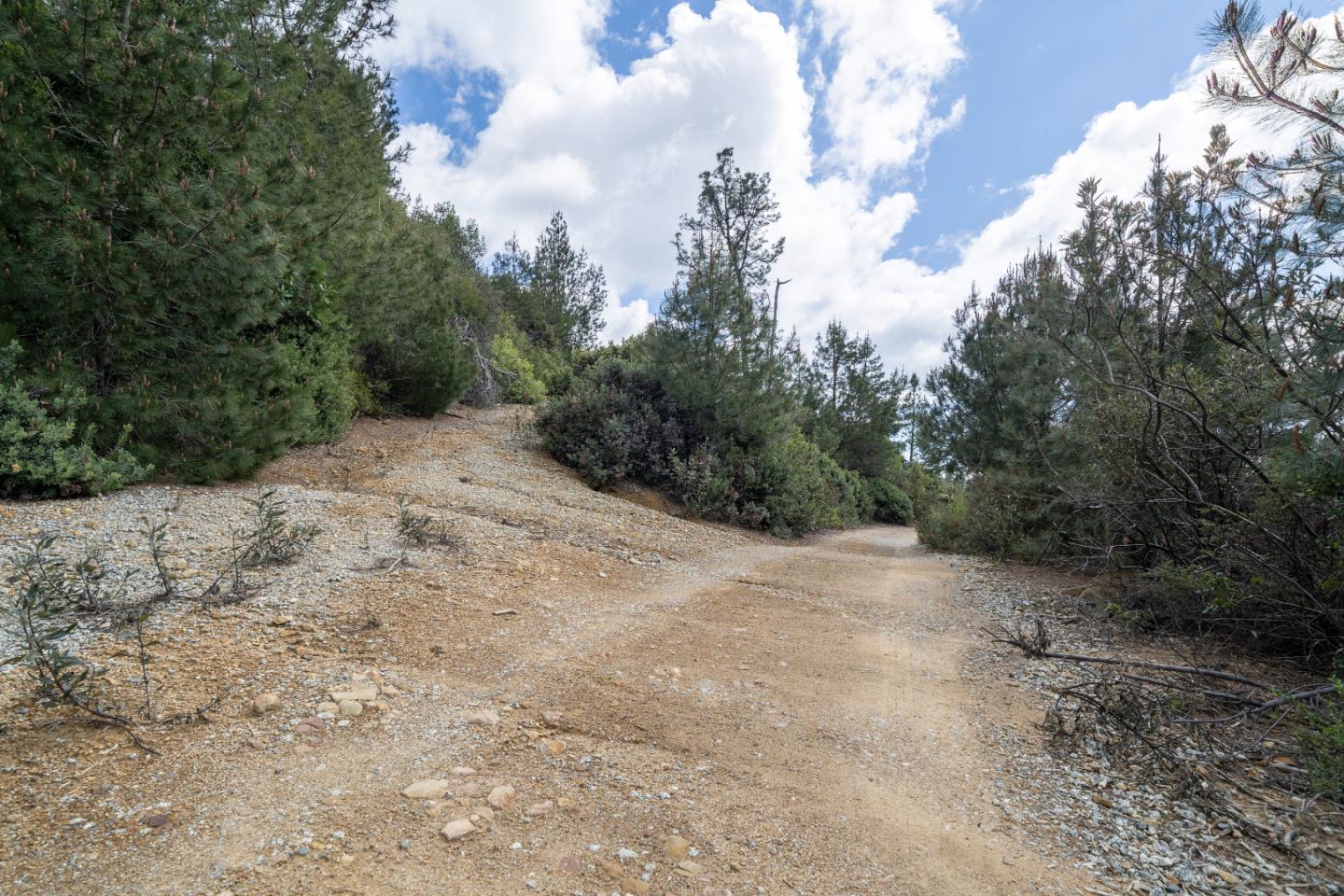 Lot13 Summit, CORRALITOS (WATSONVILLE), California 95076, ,Lots And Land,For Sale,Summit,40962002