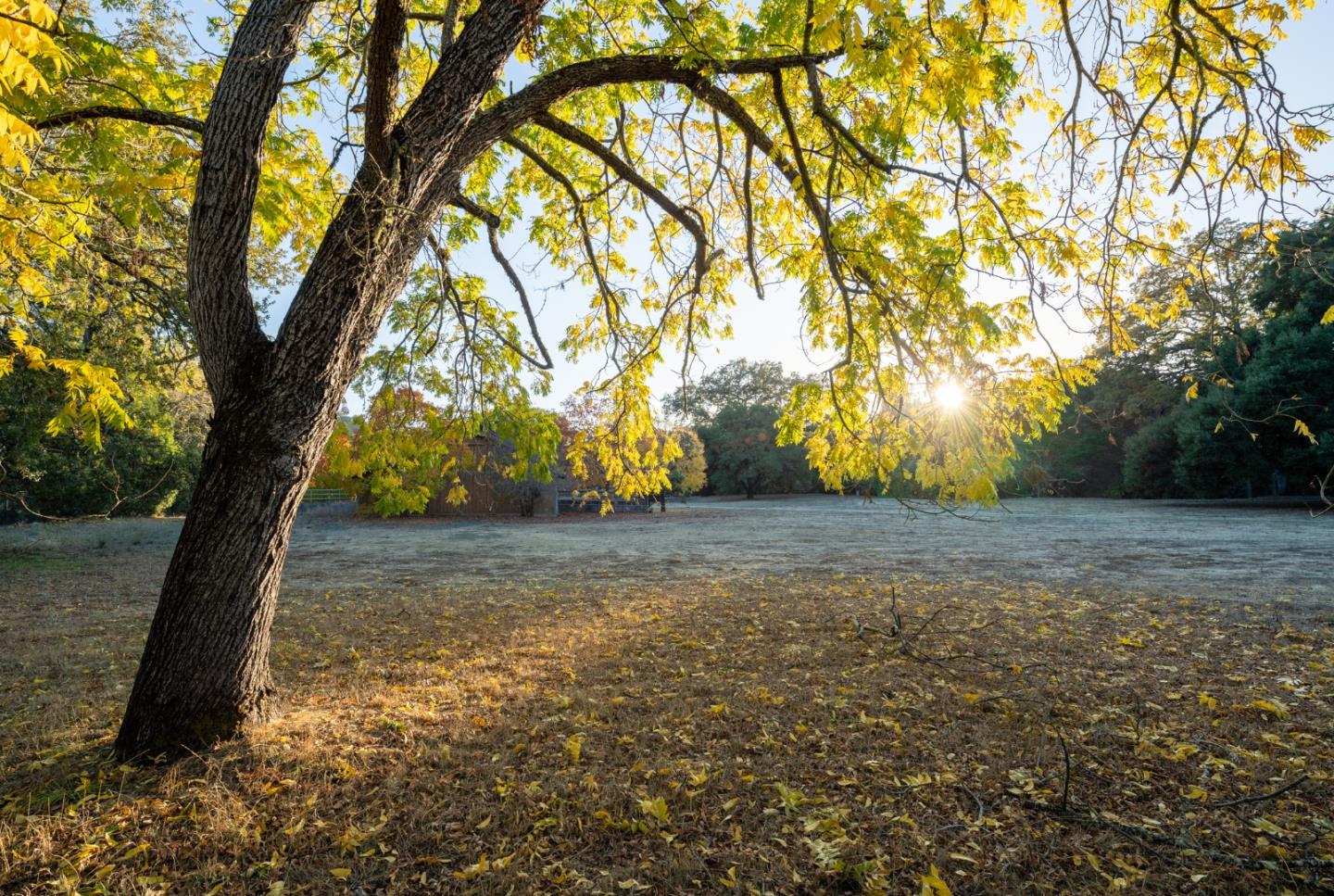 59 and 57 Los Trancos Woods Road, PORTOLA VALLEY, California 94028, ,Lots And Land,For Sale,Los Trancos Woods Road,40963293