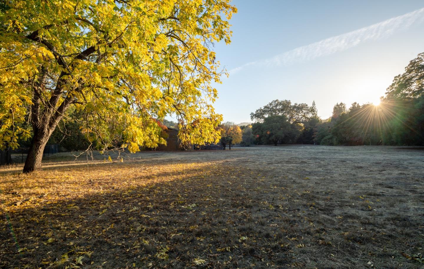 59 and 57 Los Trancos Woods Road, PORTOLA VALLEY, California 94028, ,Lots And Land,For Sale,Los Trancos Woods Road,40963293