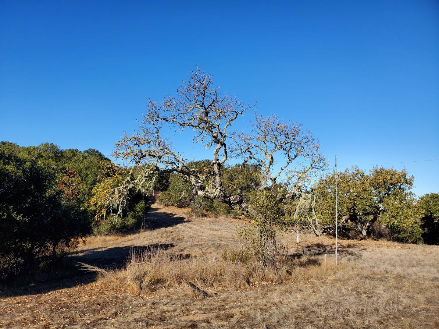 14 UPPER CIRCLE, CARMEL VALLEY, California 93924, ,Lots And Land,For Sale,UPPER CIRCLE,40963379