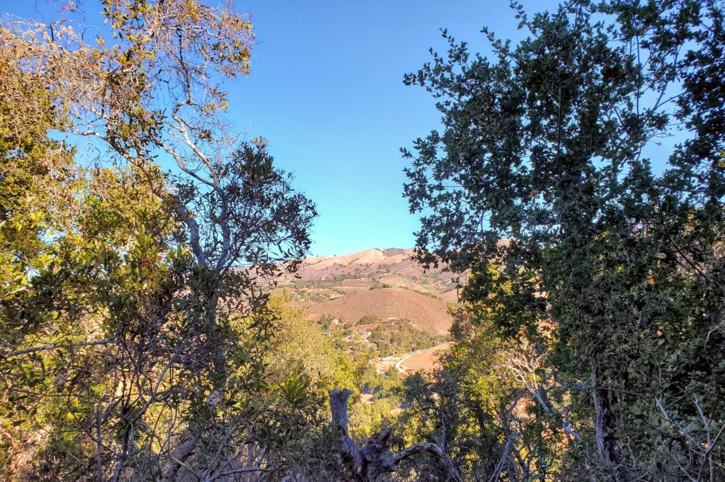 14 UPPER CIRCLE, CARMEL VALLEY, California 93924, ,Lots And Land,For Sale,UPPER CIRCLE,40963379