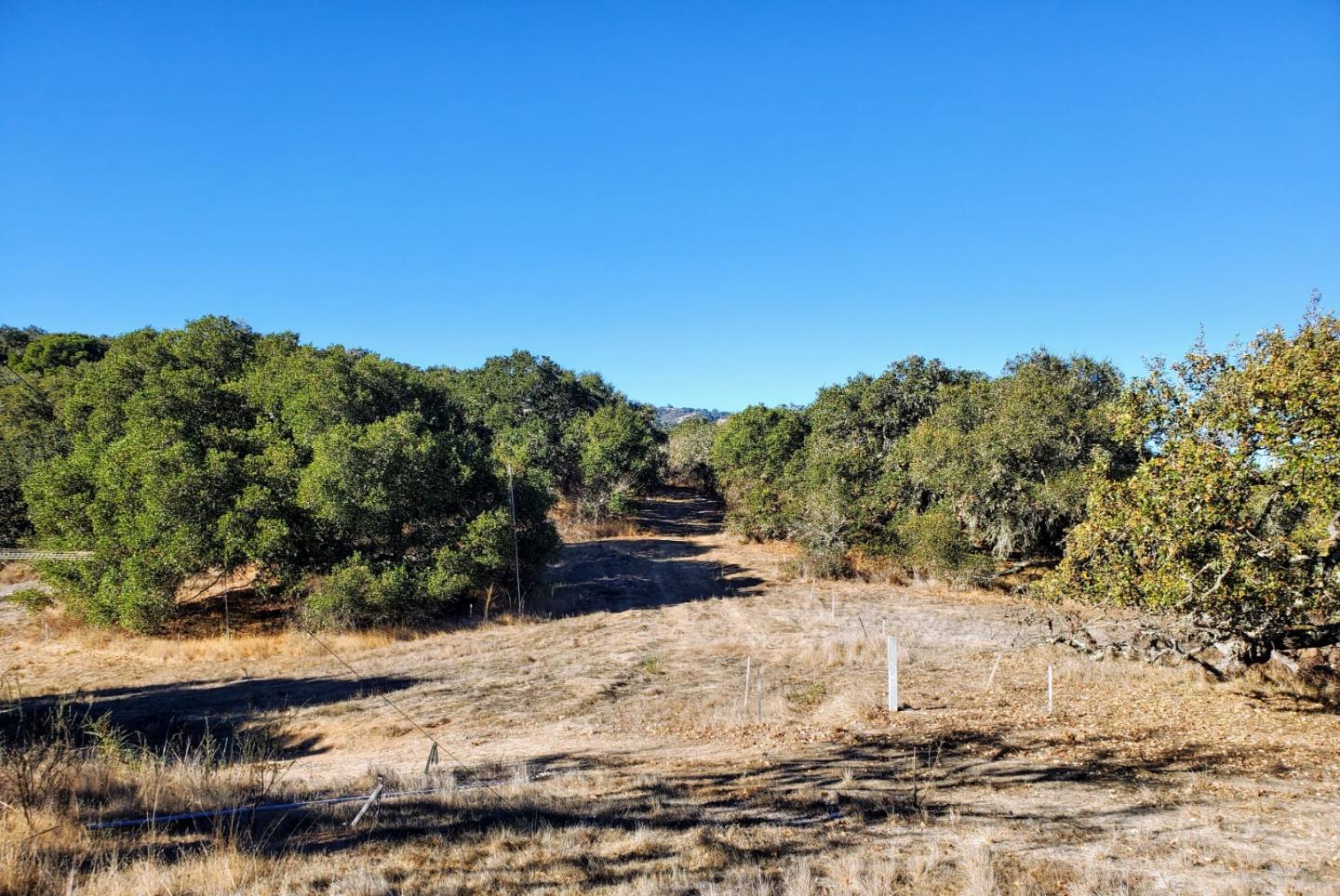14 UPPER CIRCLE, CARMEL VALLEY, California 93924, ,Lots And Land,For Sale,UPPER CIRCLE,40963379