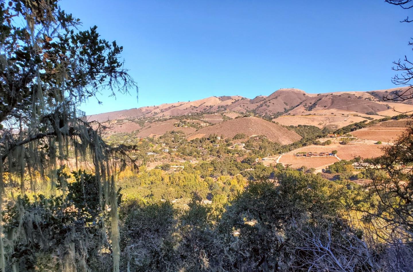 14 UPPER CIRCLE, CARMEL VALLEY, California 93924, ,Lots And Land,For Sale,UPPER CIRCLE,40963379