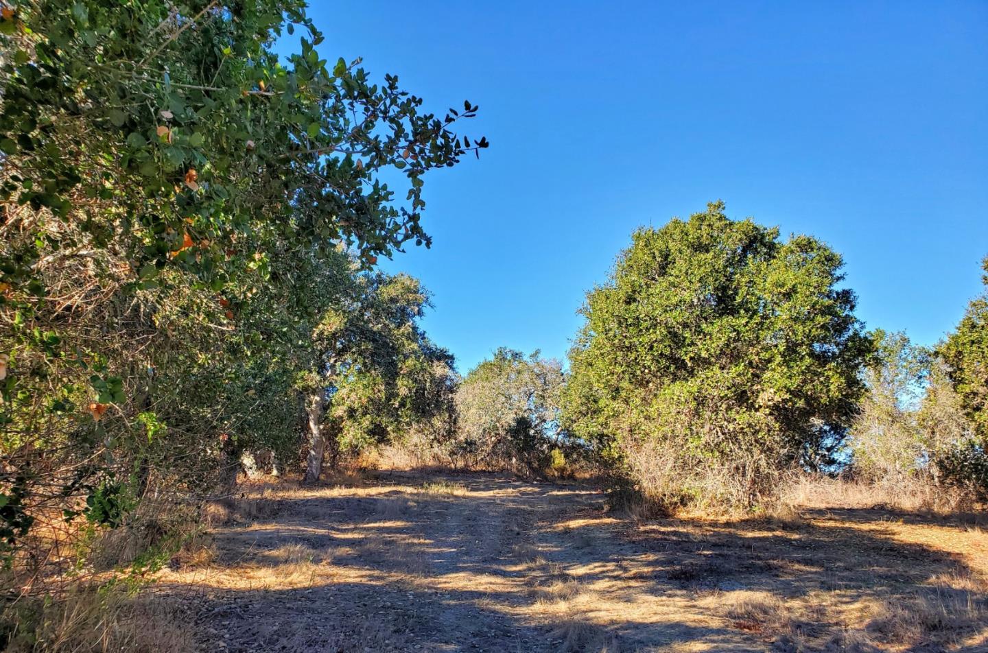 14 UPPER CIRCLE, CARMEL VALLEY, California 93924, ,Lots And Land,For Sale,UPPER CIRCLE,40963379