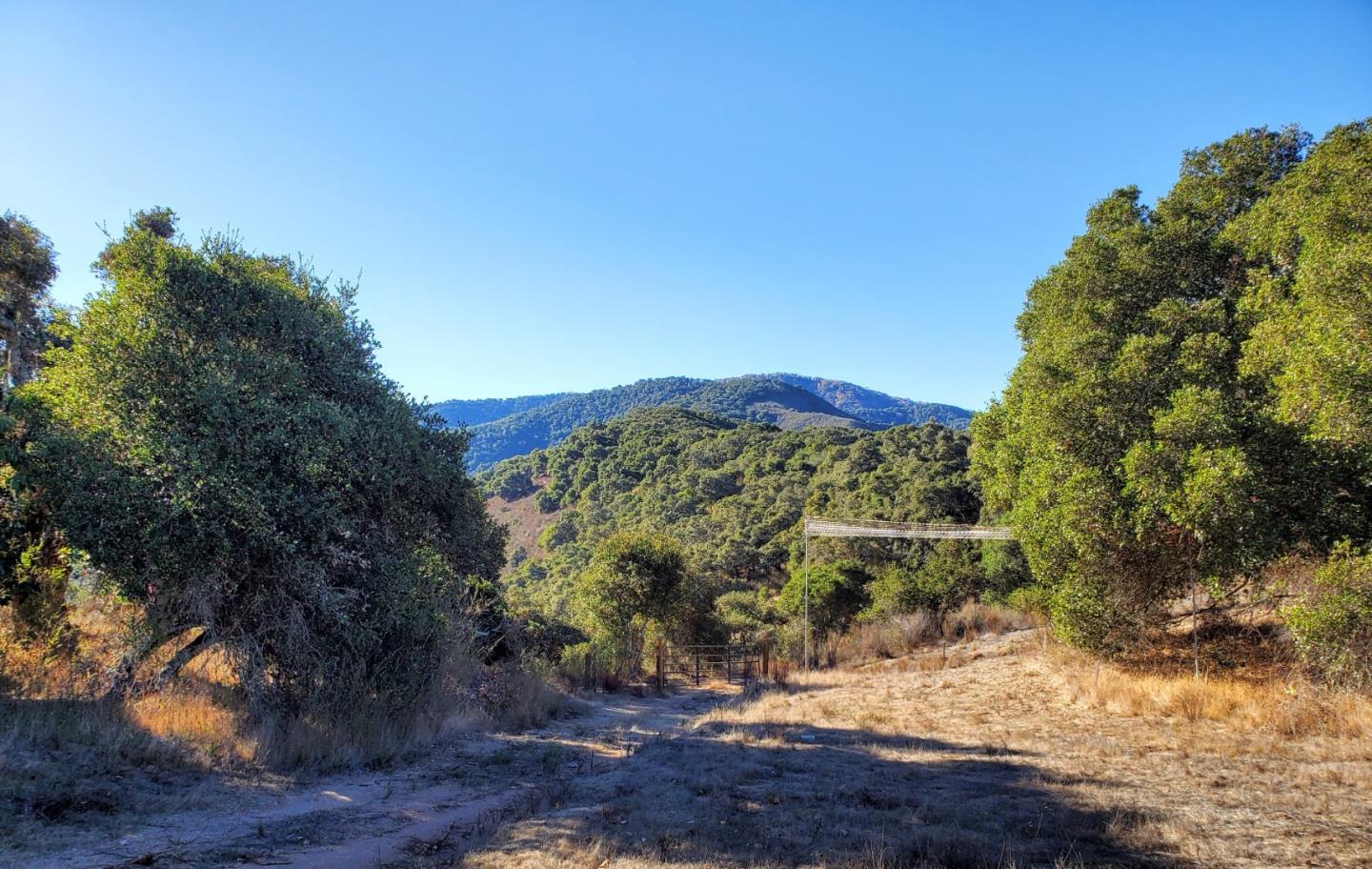 14 UPPER CIRCLE, CARMEL VALLEY, California 93924, ,Lots And Land,For Sale,UPPER CIRCLE,40963379