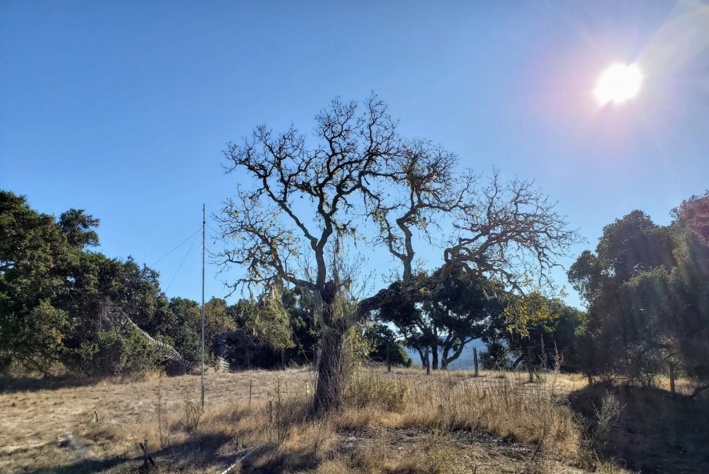 14 UPPER CIRCLE, CARMEL VALLEY, California 93924, ,Lots And Land,For Sale,UPPER CIRCLE,40963379