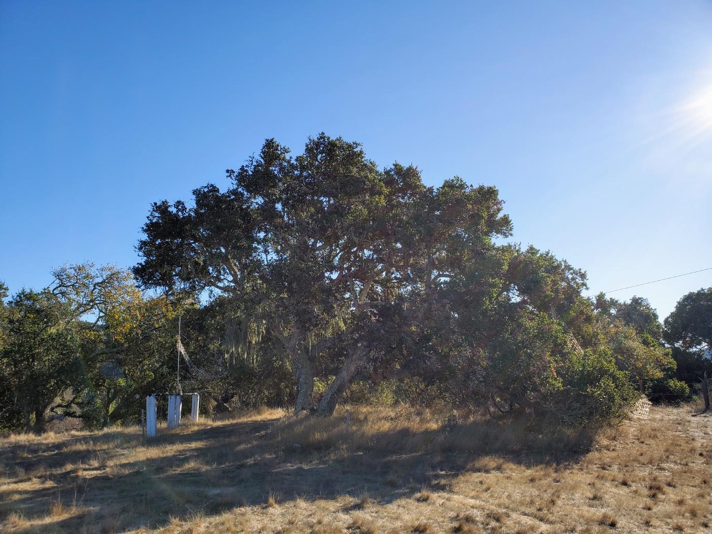 14 UPPER CIRCLE, CARMEL VALLEY, California 93924, ,Lots And Land,For Sale,UPPER CIRCLE,40963379