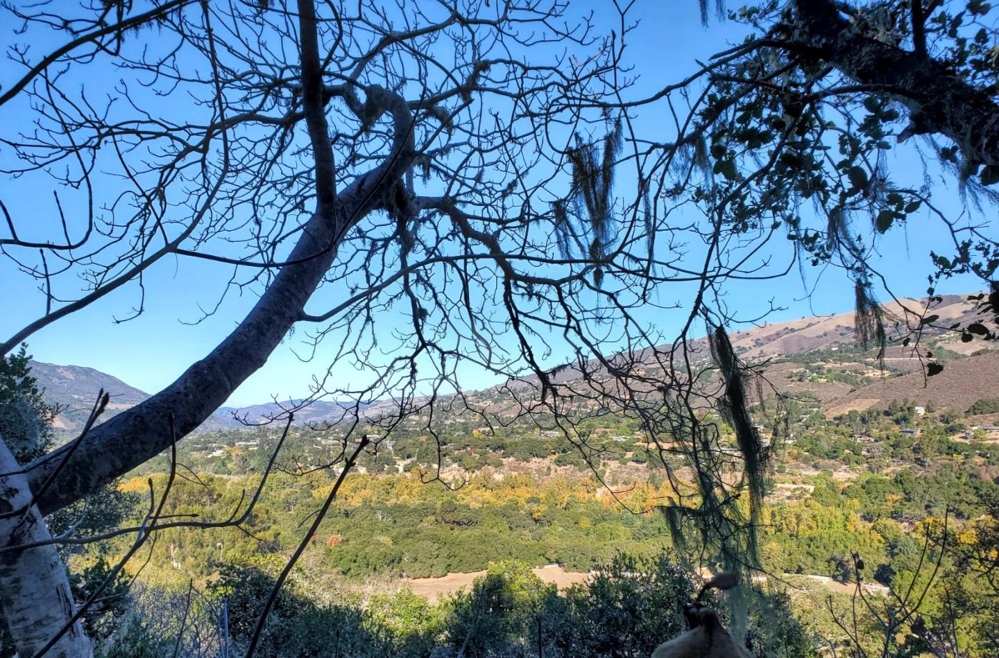 14 UPPER CIRCLE, CARMEL VALLEY, California 93924, ,Lots And Land,For Sale,UPPER CIRCLE,40963379