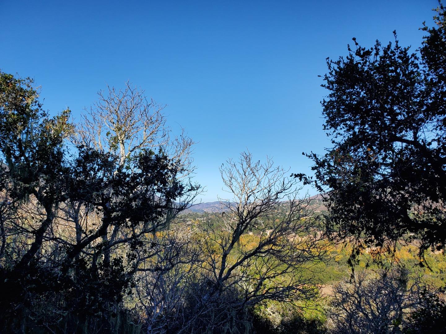 14 UPPER CIRCLE, CARMEL VALLEY, California 93924, ,Lots And Land,For Sale,UPPER CIRCLE,40963379