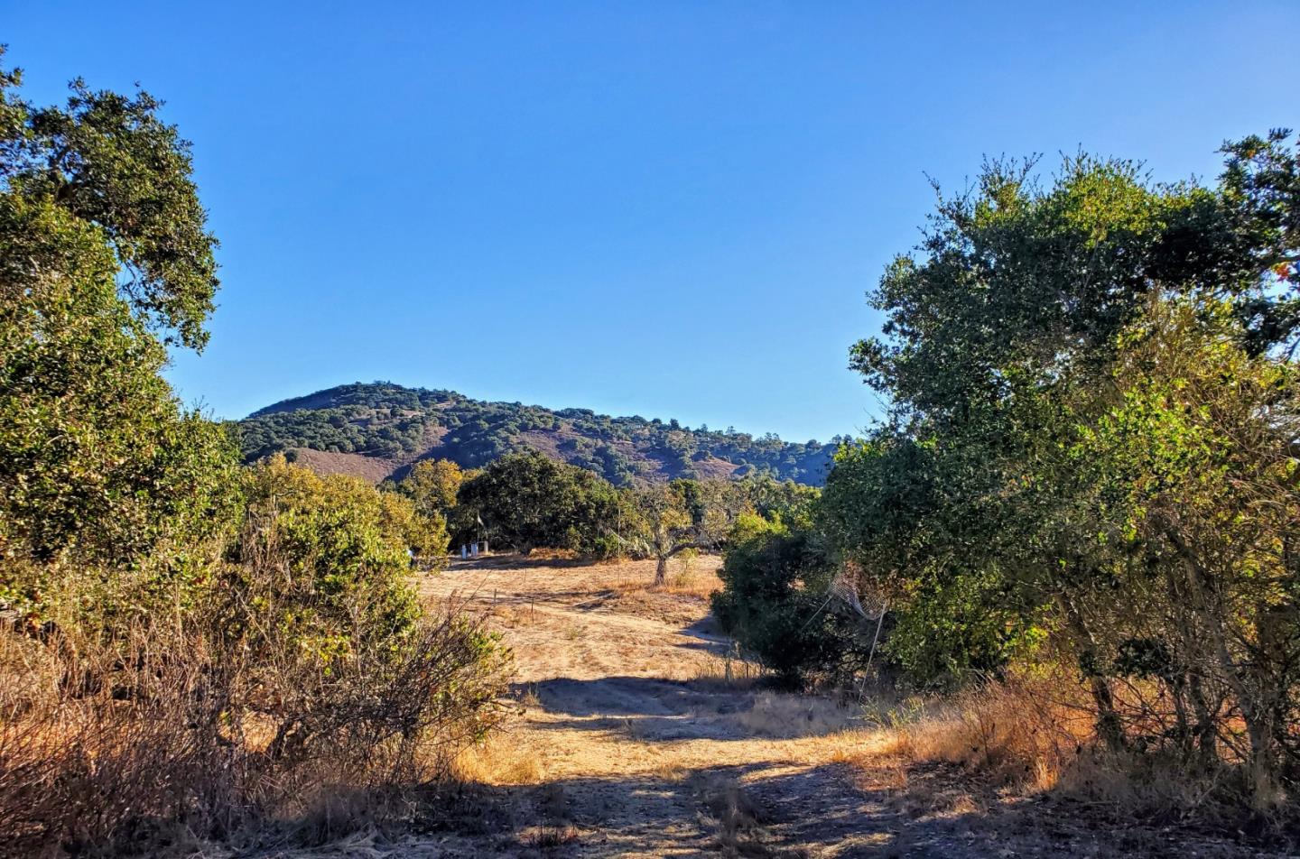 14 UPPER CIRCLE, CARMEL VALLEY, California 93924, ,Lots And Land,For Sale,UPPER CIRCLE,40963379
