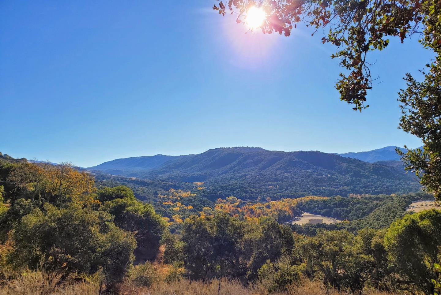 14 UPPER CIRCLE, CARMEL VALLEY, California 93924, ,Lots And Land,For Sale,UPPER CIRCLE,40963379