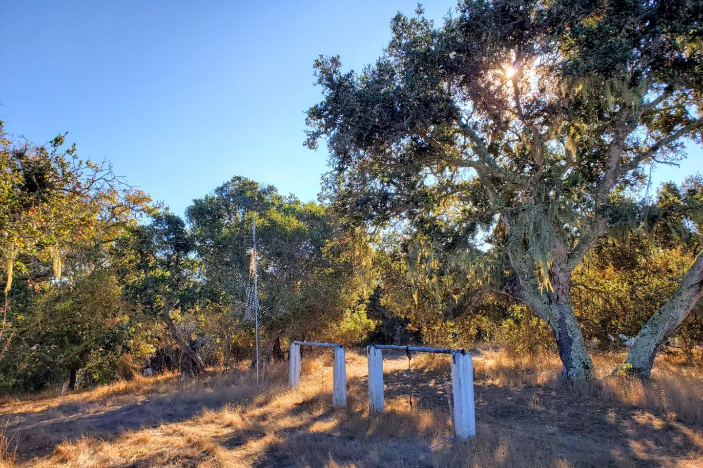 14 UPPER CIRCLE, CARMEL VALLEY, California 93924, ,Lots And Land,For Sale,UPPER CIRCLE,40963379