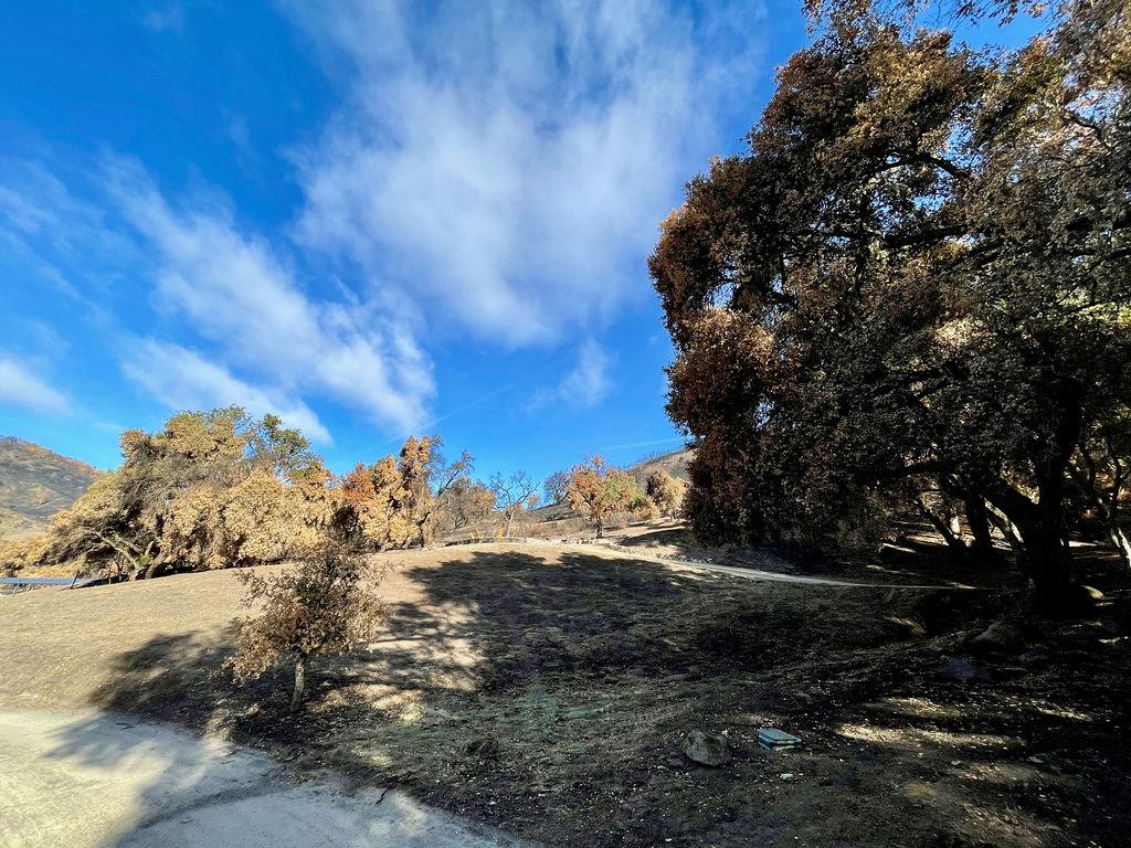 15 Trampa Canyon, CARMEL VALLEY, California 93924, ,Lots And Land,For Sale,Trampa Canyon,40963145