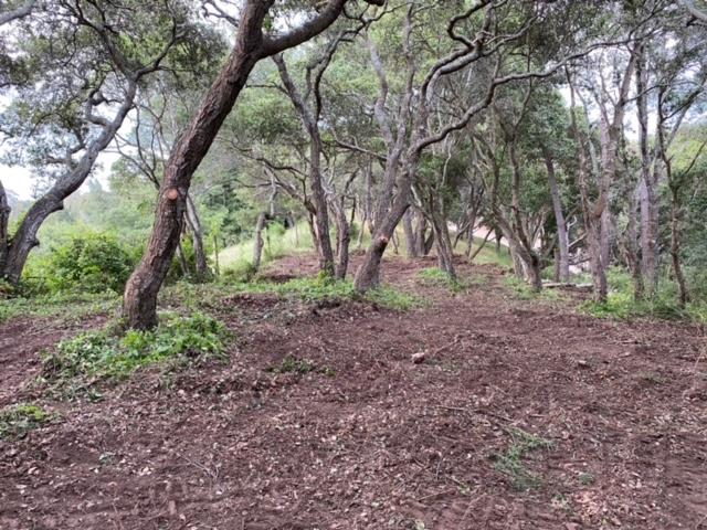 000 Petery Lane, APTOS, California 95003, ,Lots And Land,For Sale,Petery Lane,40963206