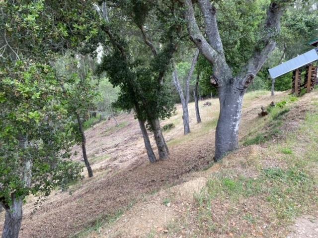 000 Petery Lane, APTOS, California 95003, ,Lots And Land,For Sale,Petery Lane,40963206