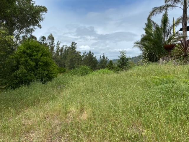 000 Petery Lane, APTOS, California 95003, ,Lots And Land,For Sale,Petery Lane,40963206