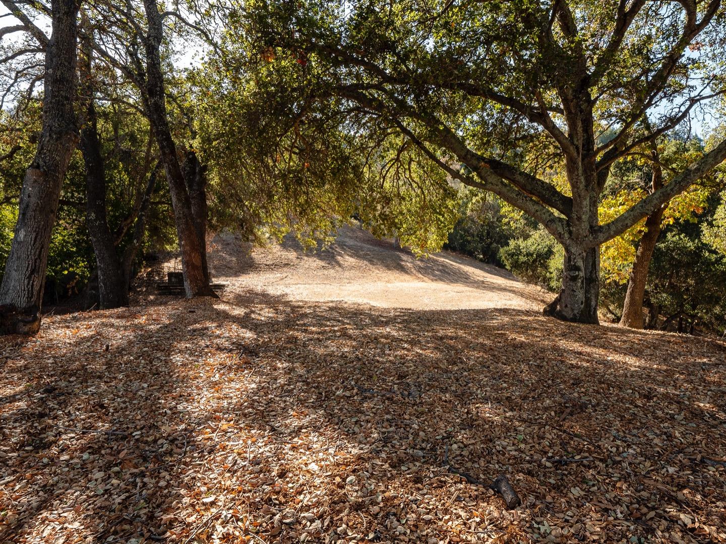 15400 Madrone Hill Road, SARATOGA, California 95070, ,Lots And Land,For Sale,Madrone Hill Road,40962143