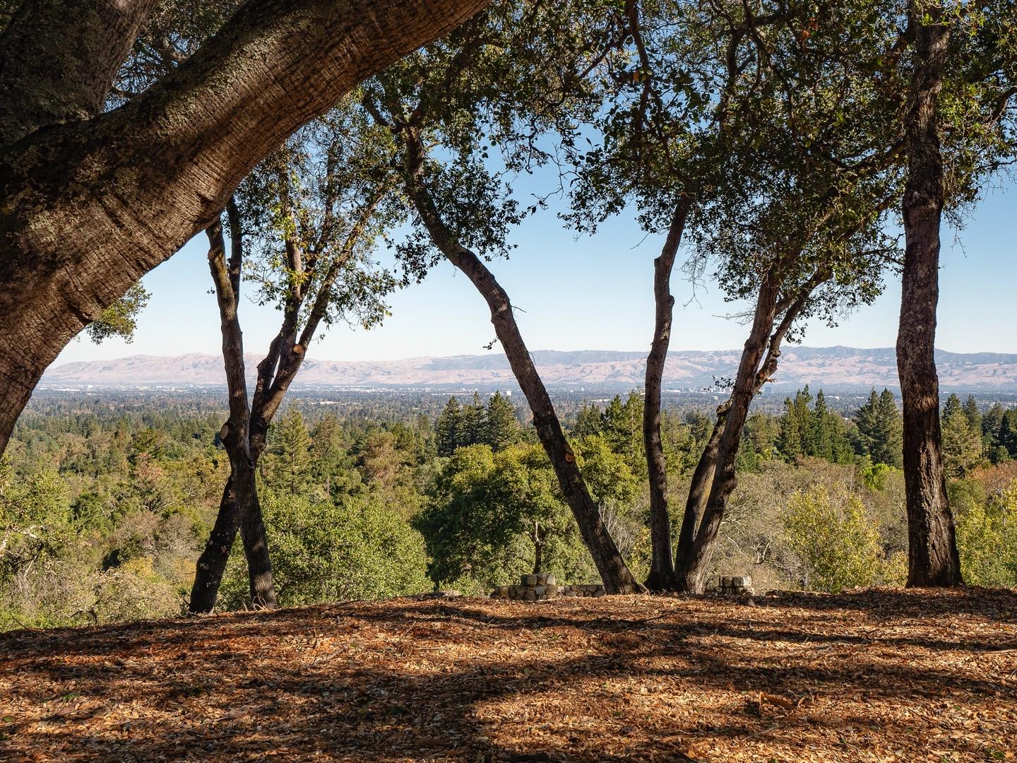 15400 Madrone Hill Road, SARATOGA, California 95070, ,Lots And Land,For Sale,Madrone Hill Road,40962143