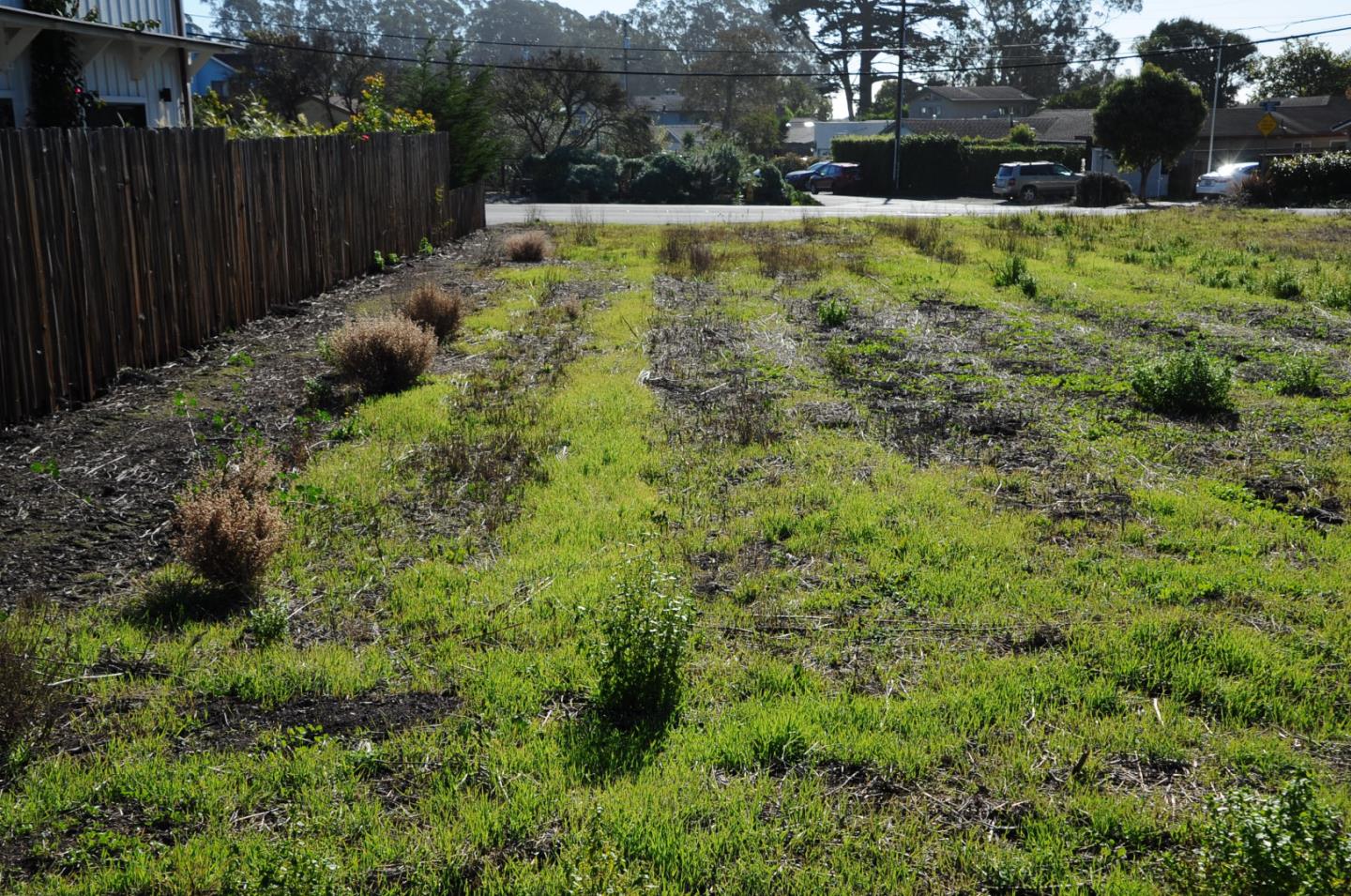 485 Mirada Road, HALF MOON BAY, California 94019, ,Lots And Land,For Sale,Mirada Road,40962344