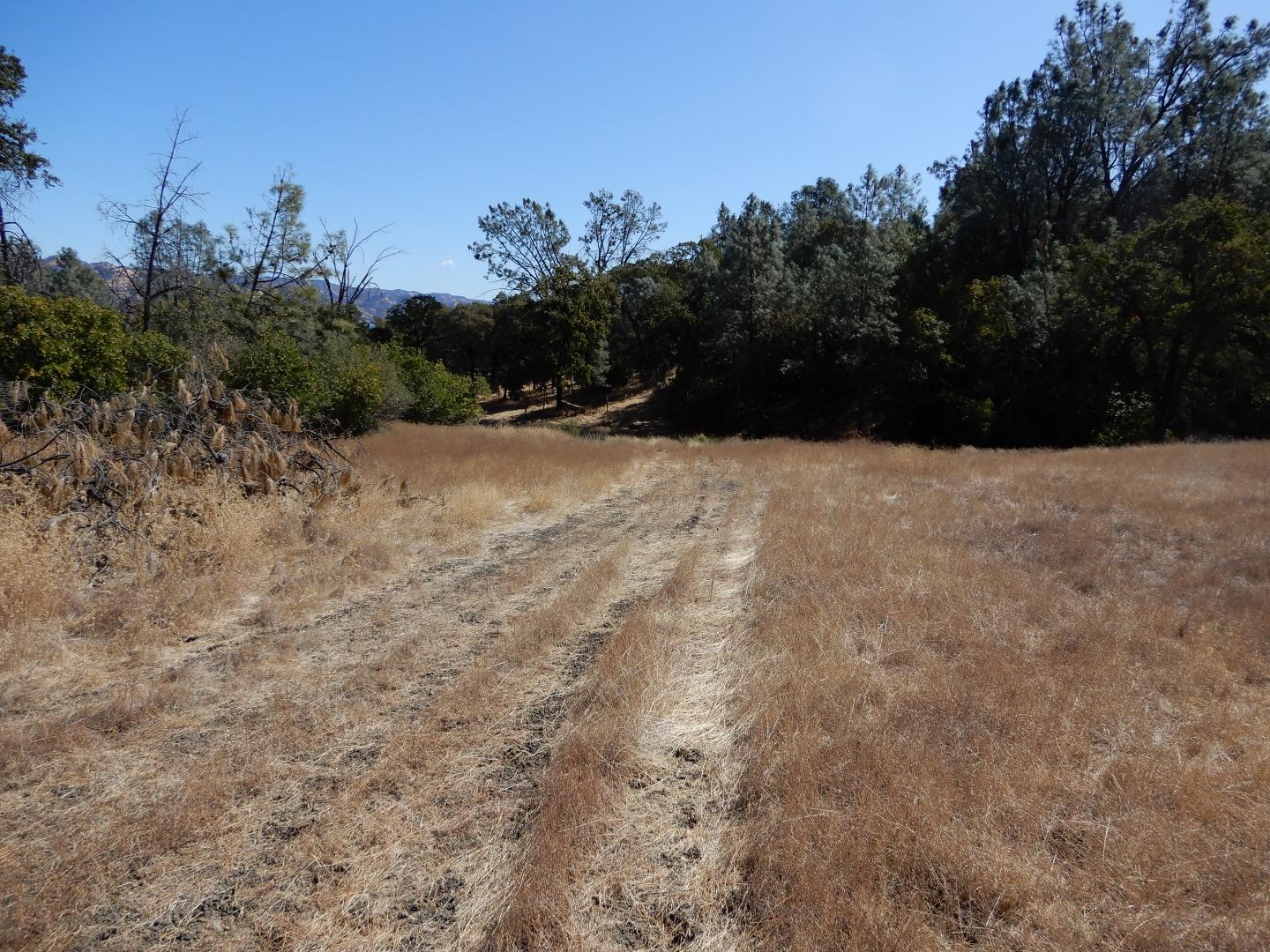 6900 Berryessa Knoxville Road, NAPA, California 94558, ,Comm Lots And Land,For Sale,Berryessa Knoxville Road,40963282