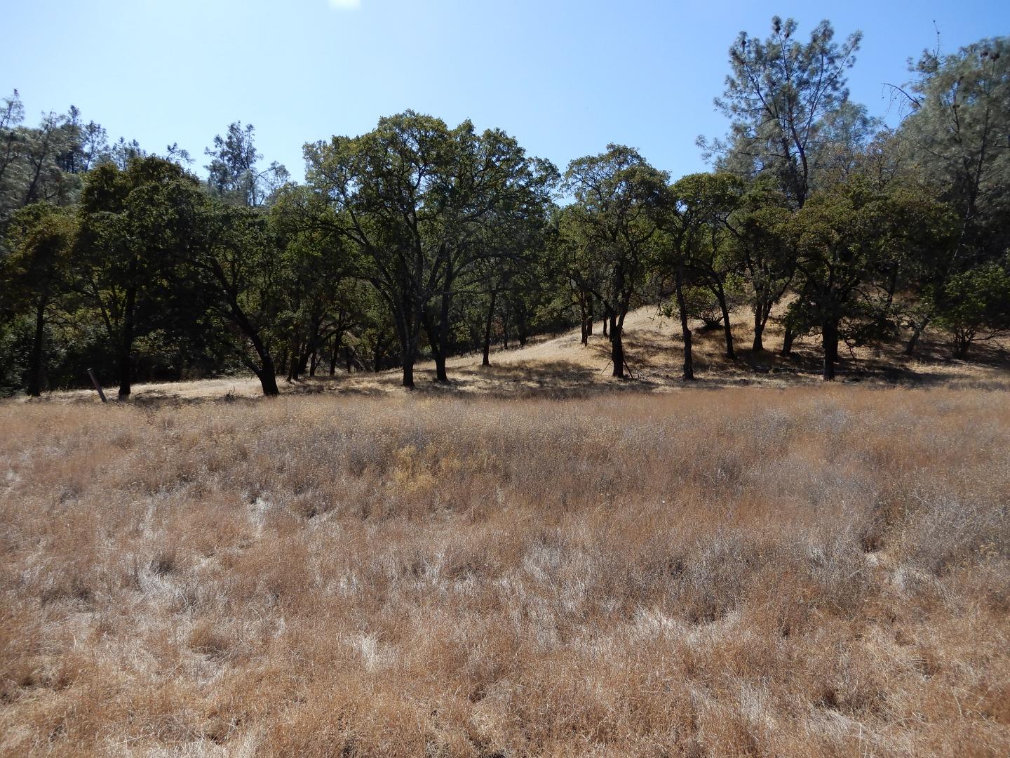 6900 Berryessa Knoxville Road, NAPA, California 94558, ,Comm Lots And Land,For Sale,Berryessa Knoxville Road,40963282