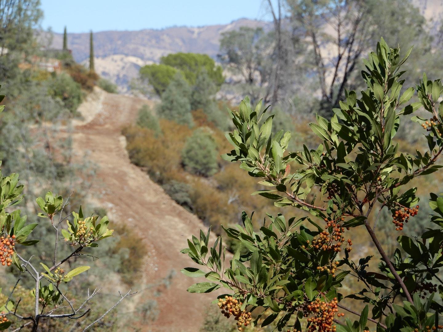 6900 Berryessa Knoxville Road, NAPA, California 94558, ,Comm Lots And Land,For Sale,Berryessa Knoxville Road,40963282