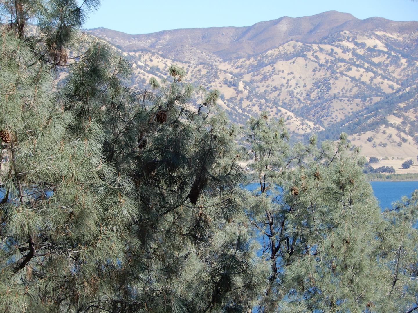 6900 Berryessa Knoxville Road, NAPA, California 94558, ,Comm Lots And Land,For Sale,Berryessa Knoxville Road,40963282