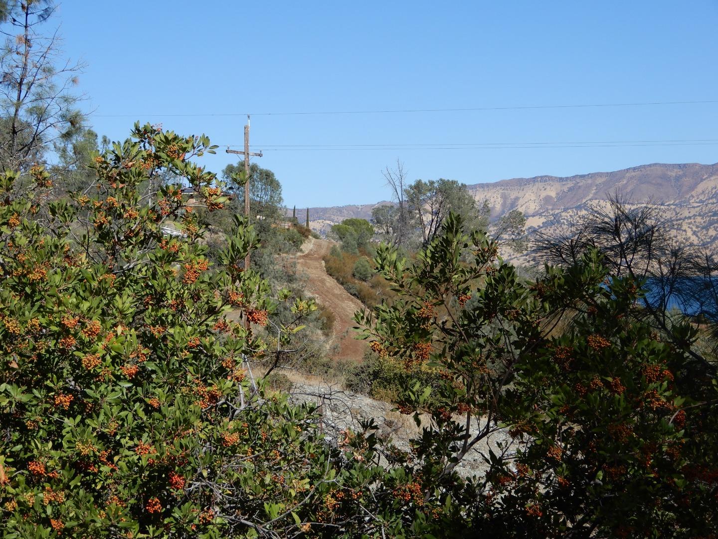 6900 Berryessa Knoxville Road, NAPA, California 94558, ,Comm Lots And Land,For Sale,Berryessa Knoxville Road,40963282