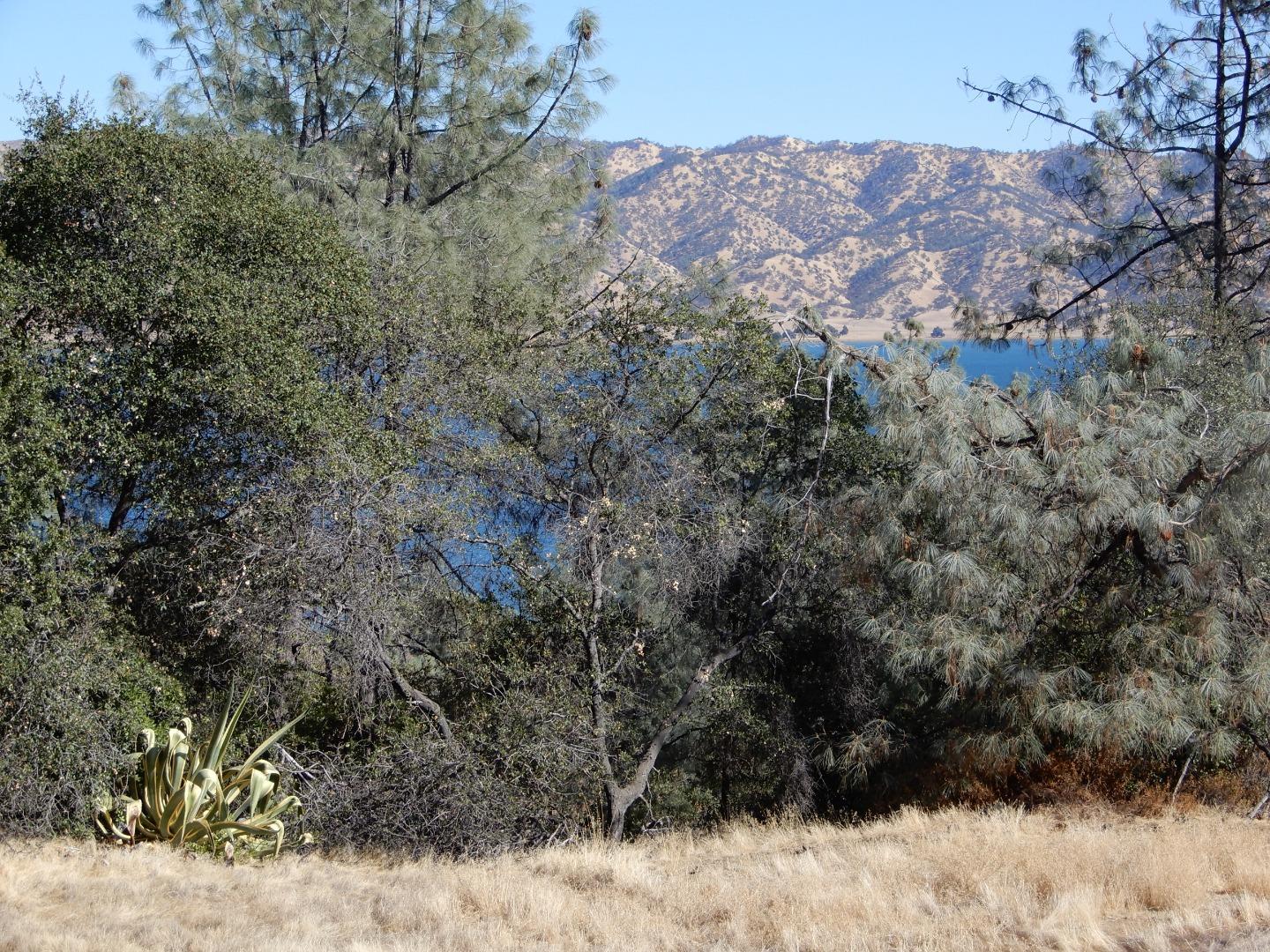 6900 Berryessa Knoxville Road, NAPA, California 94558, ,Comm Lots And Land,For Sale,Berryessa Knoxville Road,40963282