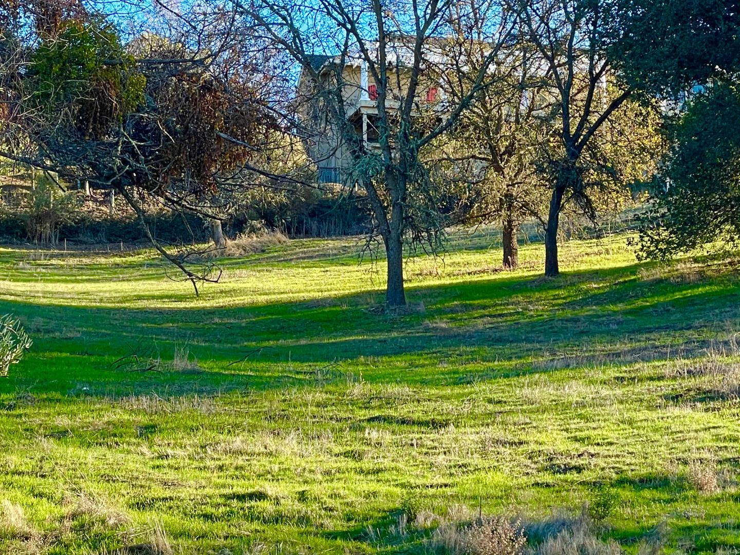 2320 Wildrose Court, GILROY, California 95020, ,Lots And Land,For Sale,Wildrose Court,40962346