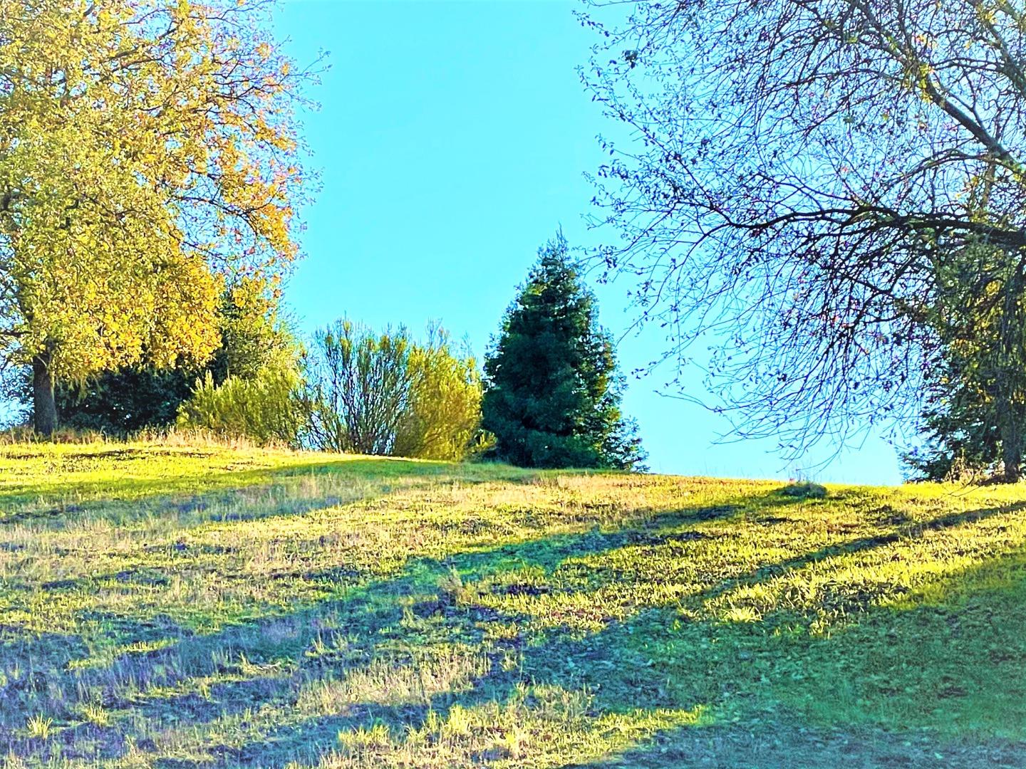 2320 Wildrose Court, GILROY, California 95020, ,Lots And Land,For Sale,Wildrose Court,40962346