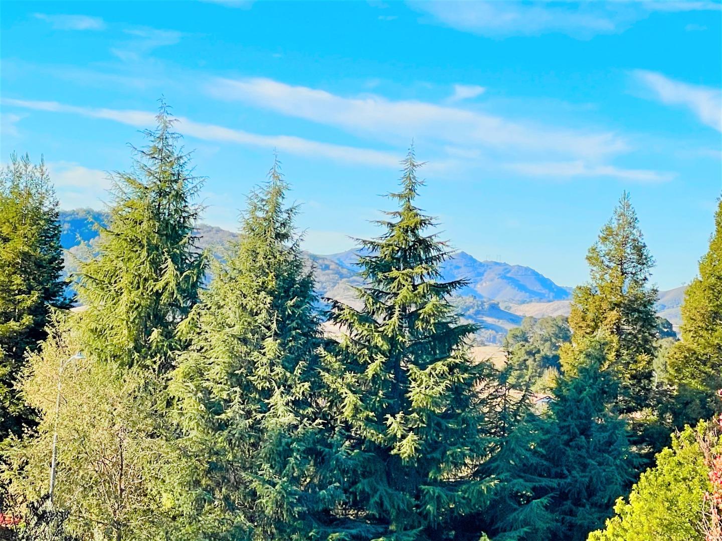 2320 Wildrose Court, GILROY, California 95020, ,Lots And Land,For Sale,Wildrose Court,40962346