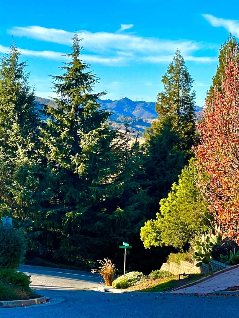 2320 Wildrose Court, GILROY, California 95020, ,Lots And Land,For Sale,Wildrose Court,40962346