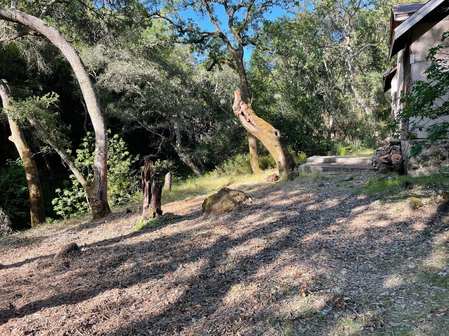 14715 Uvas, MORGAN HILL, California 95037, ,Lots And Land,For Sale,Uvas,40962121