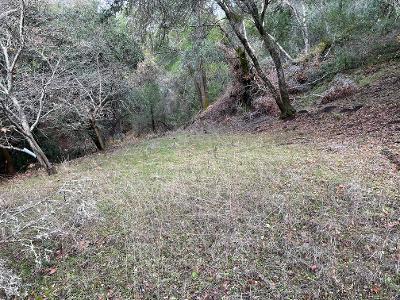 14715 Uvas, MORGAN HILL, California 95037, ,Lots And Land,For Sale,Uvas,40962121