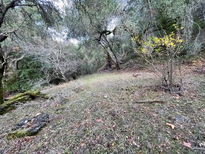 14715 Uvas, MORGAN HILL, California 95037, ,Lots And Land,For Sale,Uvas,40962121