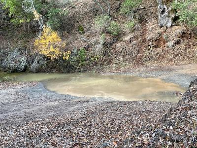 14715 Uvas, MORGAN HILL, California 95037, ,Lots And Land,For Sale,Uvas,40962121