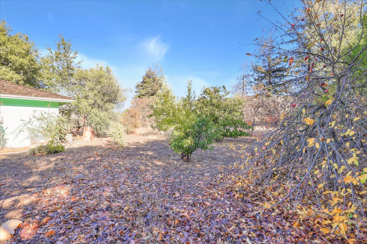 1348 Miller Avenue, SAN JOSE, California 95129, ,Lots And Land,For Sale,Miller Avenue,40962215