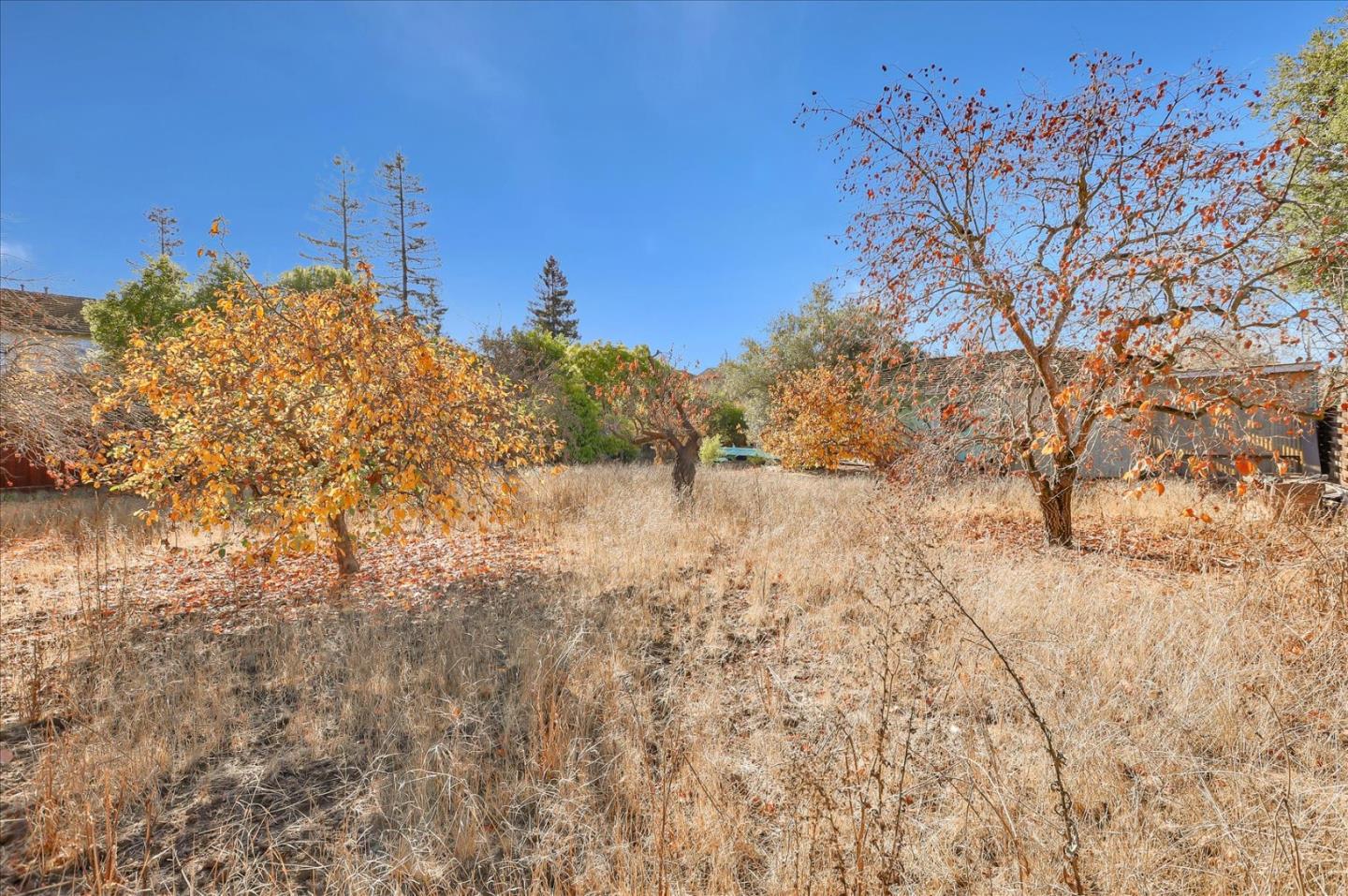 1348 Miller Avenue, SAN JOSE, California 95129, ,Lots And Land,For Sale,Miller Avenue,40962215