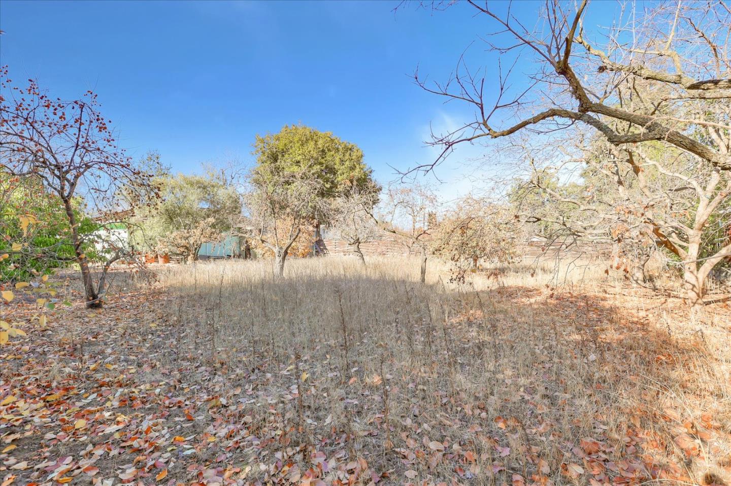 1348 Miller Avenue, SAN JOSE, California 95129, ,Lots And Land,For Sale,Miller Avenue,40962215