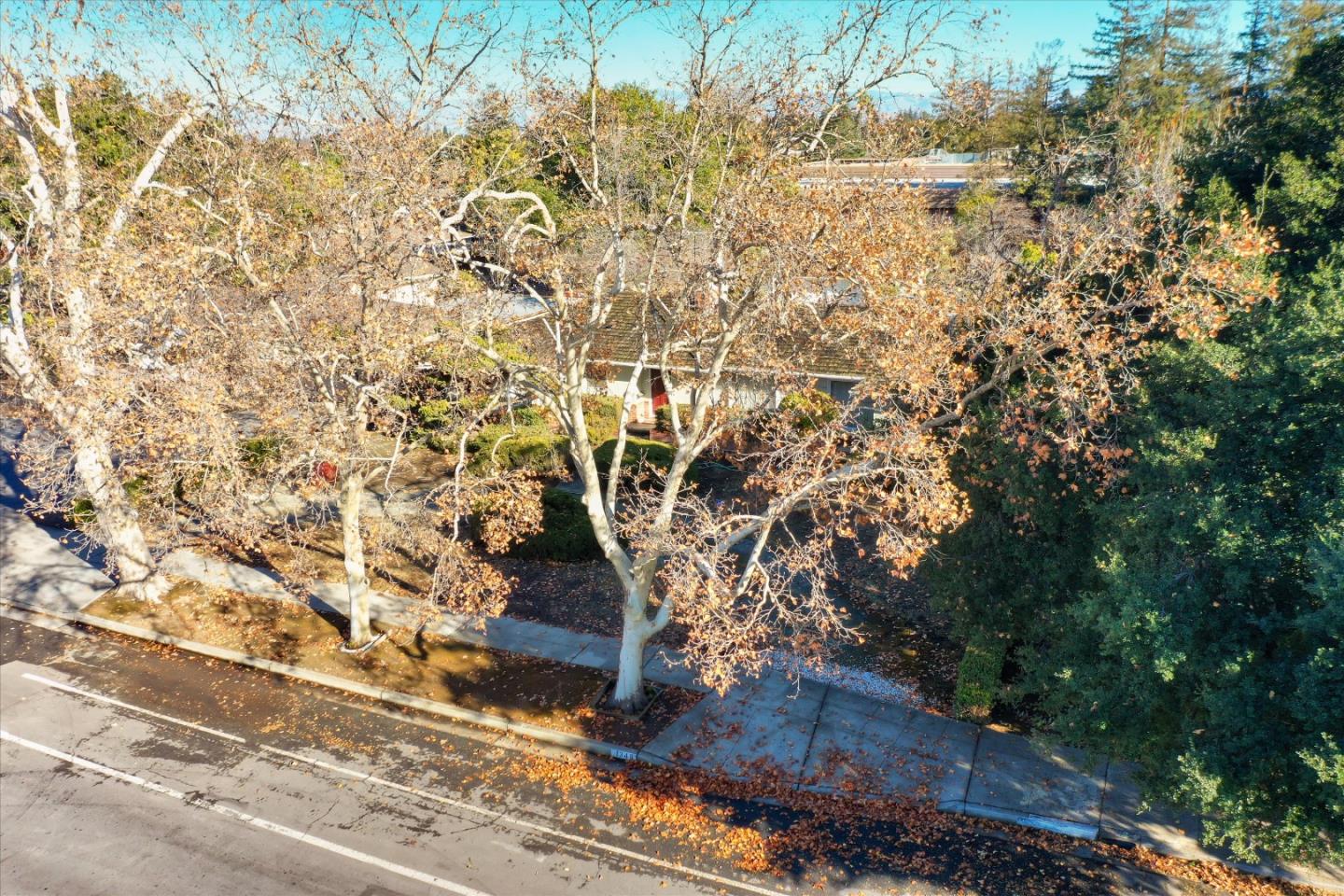 1348 Miller Avenue, SAN JOSE, California 95129, ,Lots And Land,For Sale,Miller Avenue,40962215