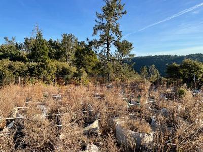 28000 Loma Prieta Way, LOS GATOS, California 95033, ,Lots And Land,For Sale,Loma Prieta Way,40963112