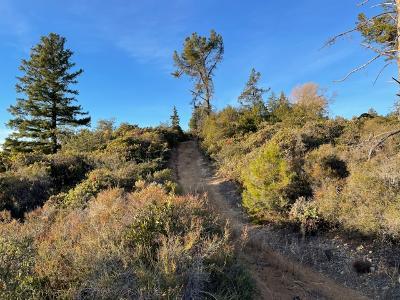 28000 Loma Prieta Way, LOS GATOS, California 95033, ,Lots And Land,For Sale,Loma Prieta Way,40963112