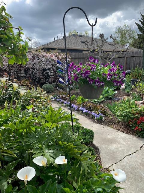 1243 PARK AVENUE, SAN JOSE, California 95126, ,Comm Industrial For Sale,For Sale,PARK AVENUE,40962148