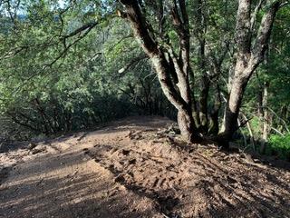 Lot 12 White Rock, LOS GATOS, California 95033, ,Lots And Land,For Sale,White Rock,40962022