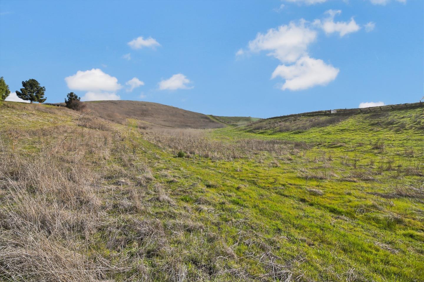 01 Auguste Court, MILPITAS, California 95035, ,Lots And Land,For Sale,Auguste Court,40961706